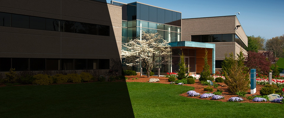 Alvarado Landscapers