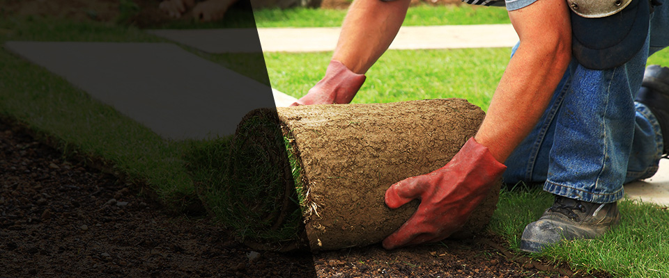 Alvarado Landscapers